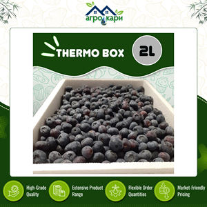 Boîte isotherme en polystyrène recyclable de haute qualité, imperméable, légère et isolante pour le transport de produits chauds et froids, protection - Product Image 4