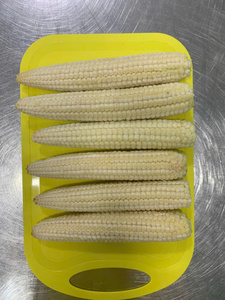 Maíz Bebé Congelado IQF, Entero, Cocido al Vapor, Envasado al Vacío, Vegetales Congelados - Product Image 2