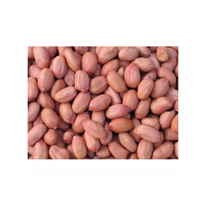 Arachides, arachides de haute qualité, arachides brutes sans coquille, arachides blanchies, noyaux d'arachides - Product Image 1