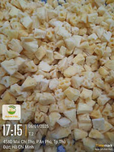 Proveedor de Exportación a Granel de Trozos de Piña Congelada IQF de Vietnam para Procesamiento de Alimentos - Product Image 3