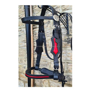 100% cuir islandais Design cheval bride pour chasseur rembourré en forme de U équipement d'équitation doux et léger avec confort - Product Image 4