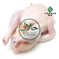 Poulet entier halal congelé, vente de pointe, qualité supérieure, prix bas, volaille fraîche, viande de poulet entier congelée