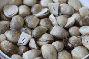 เห็ดหลอดกระป๋องเกรดพรีเมียม คุณภาพเยี่ยม รสชาติสดใหม่ อายุการเก็บรักษายาวนาน // คุณทอม - Product Image 4