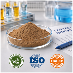 Extracto de Kachnar de primera calidad, proveedor mayorista, fabricante y exportador de la India - Product Image 5