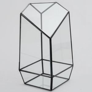 Terrario de Cristal Negro, Recipiente Artístico Transparente para Exhibición de Suculentas, Plantas Aéreas y Decoración Elegante - Product Image 3