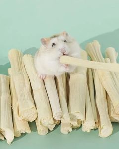 Palitos de Caña de Azúcar Secos Premium para Alimentación Animal – Ingrediente de Fibra Natural para Alimento - Product Image 1