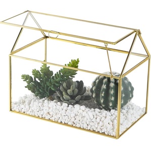 Terrario de Vidrio de Lujo con Acabado Dorado, Perfecto para Decoración de Mesa y Colgar Plantas, Almacenamiento de Flores y Decoración del Hogar - Product Image 6