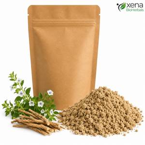 Fournisseur d'ingrédients premium pour le bien-être cognitif : Poudre d'extrait d'Evolvulus Alsinoides, matière première naturelle à base de plantes pour l'Ayurveda - Product Image 3
