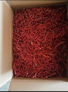 Épices brutes de haute qualité et piments séchés transformés par lyophilisation, en vrac de 25 kg au meilleur prix - Product Image 3