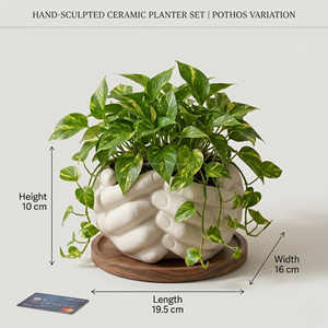 co Style Ceramic Hand Shape Flower Pot with Wooden Base Decorative Indoor Succulent <b>Vase</b> - Product Image 2