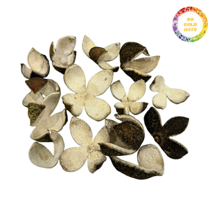 เปลือกส้มแห้งเพิ่มรสชาติและกลิ่นหอมให้กับชาและผลิตภัณฑ์หอมทำมือ ขายส่งจำนวนมาก - Product Image 2