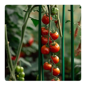 Garden Stakes 48 Inch Solid Glass Fiber Plant Support <b>Rod</b> - Product Image 2