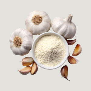 Poudre d'extrait sec d'ail pour applications culinaires professionnelles, unités de transformation alimentaire et besoins en matière de développement de saveurs - Product Image 5
