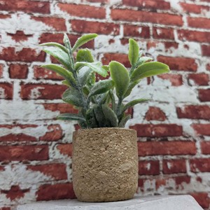 Accesorios para casa de muñecas en miniatura, maceta de corcho artificial, planta verde artificial, adorno decorativo de escritorio para mayores de 14 años - Product Image 3