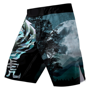 Pantalones Cortos de Entrenamiento de MMA Transpirables con Estampado Personalizado, de Secado Rápido, Elásticos en Cuatro Direcciones, Cintura Elástica, Ropa de Artes Marciales - Product Image 2