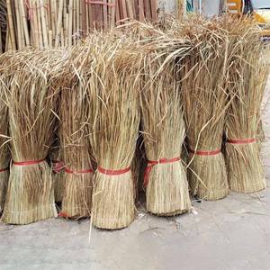 Suministros para la elaboración de tapetes de hojas de palma: Fibras naturales para tejer, nervaduras de palma para la fabricación de tapetes, materia prima de palma, materiales artesanales de hojas de palma. - Product Image 2