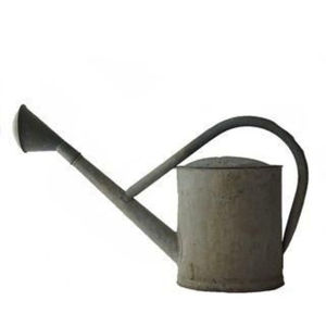 Arrosoir vintage en métal galvanisé avec tête de rose amovible et poignées latérales supérieures – Pot d'eau décoratif pour jardin, intérieur et extérieur - Product Image 2