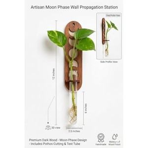 Sheesham Wood Contemporary Wall Planter & Espresso <b>Vase</b> | Handcrafted Wall Hanging | Moradabad Wholesale - Product Image 3