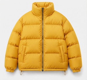 <b>Men</b> Autumn Winter Casual Hooded Cotton Down Coat with Zipper Outdoor Windproof Jacket Standard Thickness Warm Puffer Coat - Product Image 1