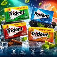 Chewing-gum sans sucre CinnamonTwist, 28 bâtonnets, format poche, avec xylitol, saveur fruitée, boîte