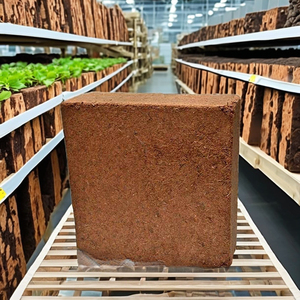 บล็อกใยมะพร้าวออร์แกนิก ลดโซเดียม เป็นมิตรต่อสิ่งแวดล้อม สำหรับใช้ในสวน ปลูกต้นไม้ และเพาะชำ จากประเทศอินเดีย - Product Image 1