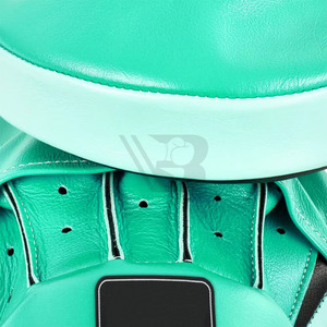 Mitaines de boxe à prix raisonnable, équipement de boxe personnalisé, mitaines de boxe, nouvelle arrivée - Product Image 5
