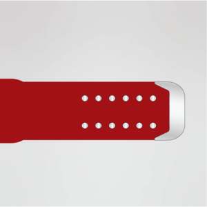 Ceinture de championnat de lutte Red Huzaim Elite Sports avec plaque centrale dorée et quatre plaques latérales (Laiton Zinc) – Équipement personnalisable - Product Image 5