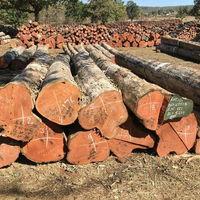 Fournisseur en gros de bois de teck de qualité supérieure pour meubles, revêtements de sol, terrasses et acheteurs internationaux