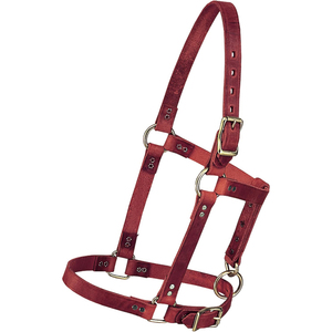 2026 Mejor Cabestro de Cuero Estilo Occidental de Alta Calidad con MOQ Bajo, Cómodo, Moderno, Resistente y Ajustable para Caballos - Product Image 3