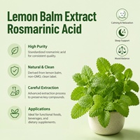 Extrait naturel de mélisse 5% 10% Acide Rosmarinique Poudre d'extrait de mélisse de haute qualité pour l'équilibre de l'humeur et le soutien du sommeil