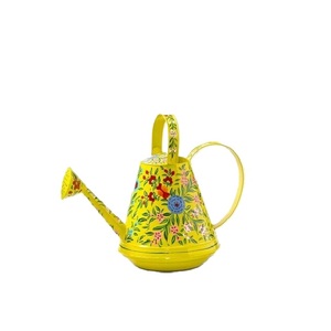 Nouvelle Arrivée Arrosoir en Métal Émaillé Peint à la Main pour Plantes d'Intérieur et d'Extérieur, Jardin et Arrosage des Pots - Product Image 5