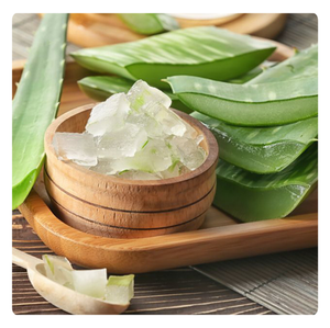 2025สินค้าร้อน | วุ้นว่านหางจระเข้สำหรับเครื่องดื่ม | ธรรมชาติและกินได้ | สมบูรณ์แบบสำหรับน้ำผลไม้และสมูทตี้ - Product Image 1