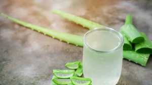 Jus de bien-être à l'aloe vera, frais, pur et nutritif, boisson santé biologique, Ojistha Industries Jharkhand, durée de conservation de 36 mois - Product Image 2