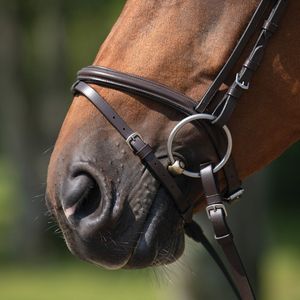 Bridon en cuir personnalisé, style selle anglaise traditionnelle, design durable et élégant, bridon d'équitation personnalisé OEM - Product Image 5