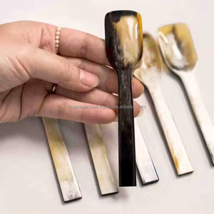 ช้อนฮอร์นตกแต่งสำหรับการแสดงทางวัฒนธรรมการตกแต่งบ้านตามธรรมชาติและการใช้ชีวิตที่ใส่ใจสิ่งแวดล้อมช้อนแตรสำหรับขายดี - Product Image 6