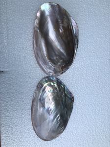 Assiettes/Plats de fête en nacre rose - Product Image 4