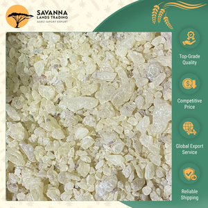 Fabricante y Proveedor Líder en Indonesia, Resina de Goma Damar de Primera Calidad 100% Genuina, Servicio OEM Personalizado - Product Image 2