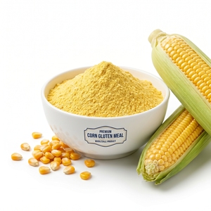 Farine de Gluten de Maïs de Haute Qualité 60% Qualité Alimentaire pour Animaux, Volailles, Bétail, Approvisionnement en Gros, Exportation, Fournisseur, Fabricant - Product Image 3