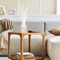 Branches de saule bouclées séchées naturelles Plantes décoratives Décoration de maison séchée colorée Produit écologique Mariages Autre paquet