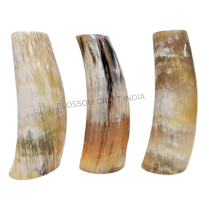 Florero de cuerno de buey respetuoso con el medio ambiente, hecho a mano, artesanal Natural único, accesorio decorativo para el hogar de animales pulidos DE LA India - Product Image 3