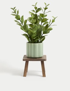 Support de plante en bois massif fait main de qualité supérieure pour décoration intérieure et extérieure - Product Image 5