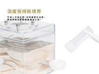 Aangran Nid de fourmis mini/moyen en acrylique écologique et durable, design transparent, fermeture à bouton, facile à nettoyer, toutes saisons