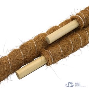 [HAUTE QUALITÉ] |   Tige d'extension extensible en fibre de coco pour l'agriculture, la pépinière et l'entraînement des vignes, fabriquée au Vietnam - Product Image 1