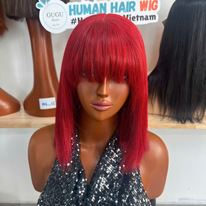 Peluca de Lujo Vietnamita 100% sin Pegamento con Flequillo, Cierre 5x5, 10 Pulgadas, Cabello Humano Virgen Doble Trama Liso para Mujeres Negras - Product Image 1
