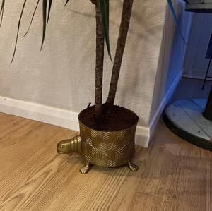 Maceta de oro grabada con forma de tortuga única para decoración del hogar, uso en mesa auxiliar de jardín y decoración linda para habitación infantil, procedente de la India. - Product Image 5