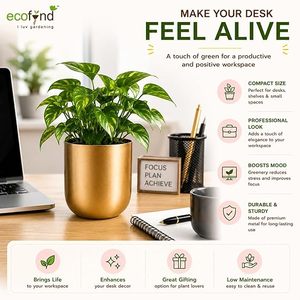 Maceta de Metal Dorada de Lujo con Diseño Floral Manual |   Maceta Moderna para Interiores, para Suculentas, Plantas de la Fortuna, Plantas Pequeñas y Decoración de Mesa para el Hogar - Product Image 2