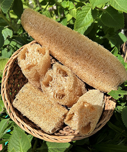 Esponja de Lufa Seca Natural Ecológica, Exfoliante Corporal Orgánico, Almohadilla Exfoliante para Baño, Logotipo Personalizado para Baño y Cocina - Product Image 5