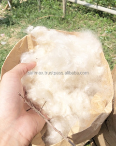 VIETNAMESE <b>KAPOK</b> FIBER CHEAP PRICE - Product Image 3