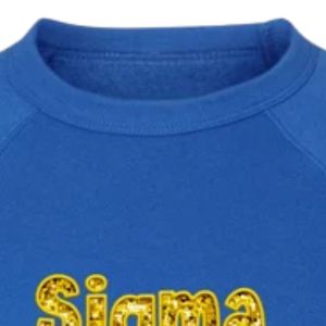 Sweat-shirt décontracté à manches longues et col rond pour femme, avec broderie de faux sequins Fashion Sigma Gamma Rho, motif lettres grecques de sororité - Product Image 3