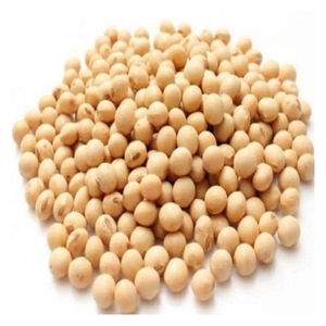 Soybeans High Quality Non GMO Yellow Dry Soybean Seed NON-GMO Soya <b>Beans</b> - Product Image 3
